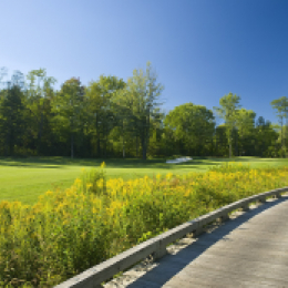 golf course bridge